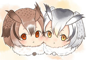 博士と助手