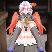 [東方] 本に夢中でスカートのガードが甘くなった朱鷺子ちゃん