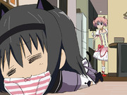 ほむほむがまどかのパンツ中毒になったようです