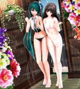 【今日のミクお姉さん】おみあし可愛い お姉さん達と…♡