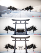 Tree stage set　ステージ配布