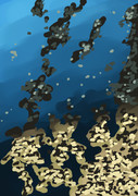 冬の河
