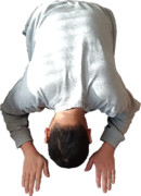 本当に申し訳ございません!!!