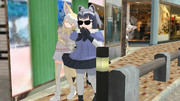 アライさん、フェネックその後