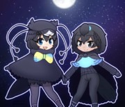 フウチョウコンビ