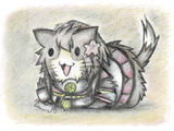 大和猫