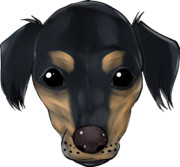 【富樫家のアイドル】富樫アッシュ