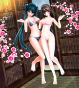 【今日のミクお姉さん】仲良くポーズ…♡