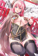 おっぱい暖簾っていいよね