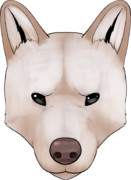 【富樫家の番犬】富樫リュウ