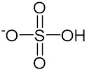 硫酸水素イオン