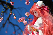 ウメ×ウメ