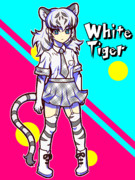 ホワイトタイガー