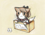 敷波改二猫