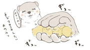 可愛いに魂を売ったカワウソ