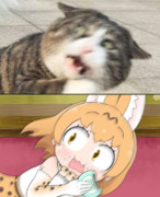 食べてないよ！？！？