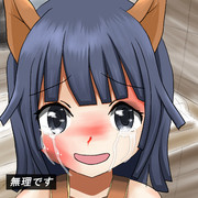 無理です・・・