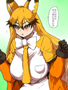 対抗するキタキツネ