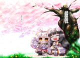 ひえラフィ