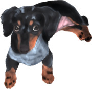 お父さんへ..今までありがとう！