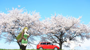 【Fate/MMD】春のドライブ
