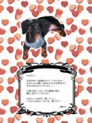 天国へのメッセージ