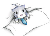 布団を占領する酒匂猫