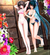 【今日のミクお姉さん】イチャラブな お姉さん達…♡