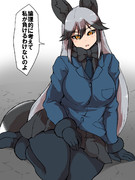 シーサーバル道場で負けて終了したくせに勝った感を出すギンギツネ