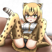 だらけチーター