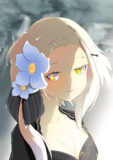 晴れたね