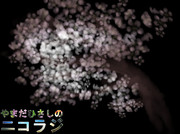 お花見しようず。