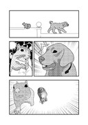 犬 vs 栗鼠 test