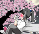 花見で一杯