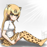 朝日を追加したら天に召されてしまったチーター