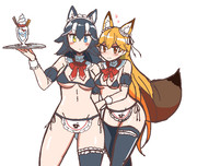 タイリクオオカミおねえさんとキタキツネちゃん