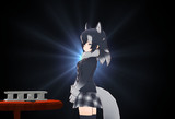 名探偵　タイリクオオカミ警部補