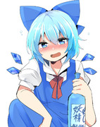 酒飲んで酔っ払って⑨が加速した⑨