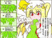 算数の問題。次の問いに答えよ。その1238