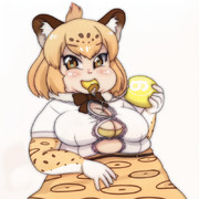 冬毛から夏毛に変わるジャガーさん