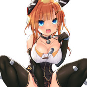 フォックスハウンド アズールレーン ニコニコ静画 イラスト