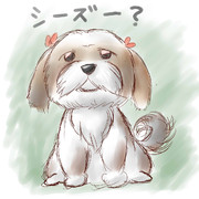 シーズー ニコニコ静画 イラスト