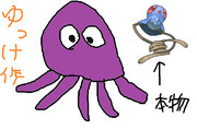１０．メノクラゲ