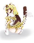 チーターさん…