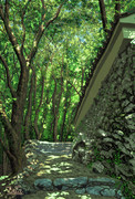 栂尾山・高山寺の石垣