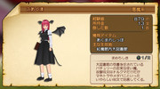 『東方紅龍伝』 妖怪図鑑 こあくま編