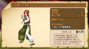 『東方紅龍伝』 妖怪図鑑 追憶の紅美鈴編