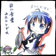 初ガツオ食べました？