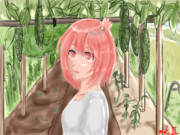 ゴーヤ畑でつかまえて(The Catcher in the Goya)