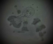 さそ虐